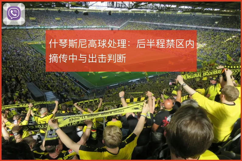 什琴斯尼高球处理：后半程禁区内摘传中与出击判断