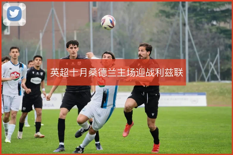 英超十月桑德兰主场迎战利兹联