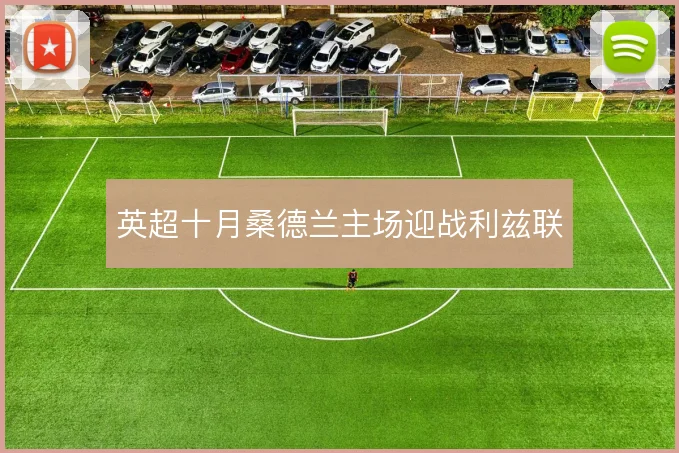 英超十月桑德兰主场迎战利兹联